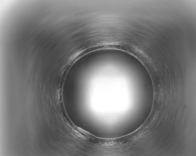 X0000054441169200508051851