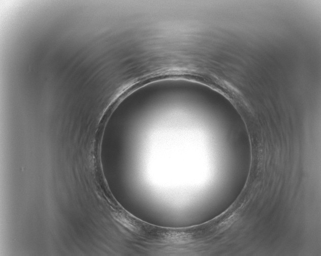 X0000054441170200508051851