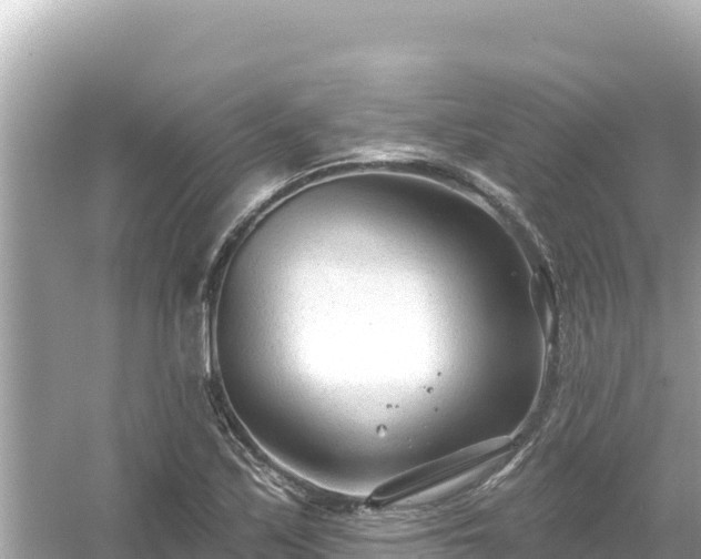 X0000054441171200508051851