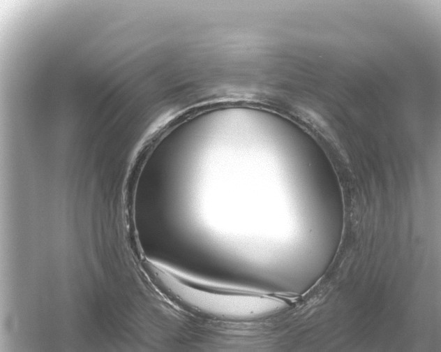 X0000054441172200508051851