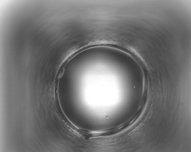 X0000054441173200508051851