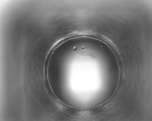 X0000054441174200508051851