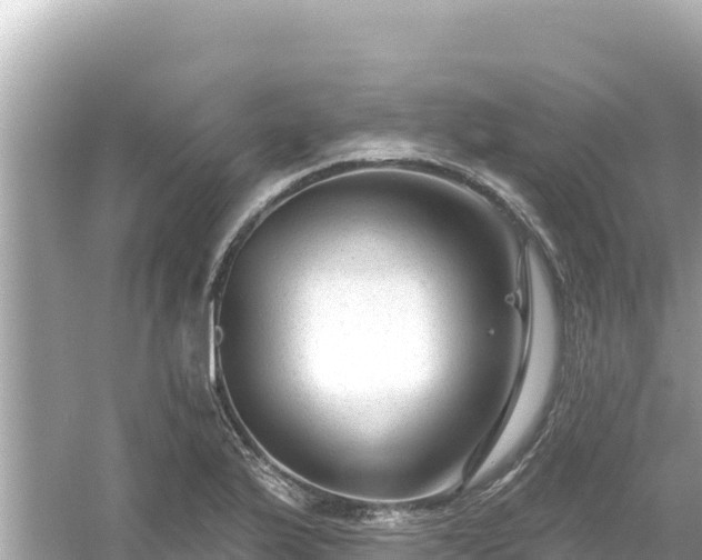 X0000054441175200508051851