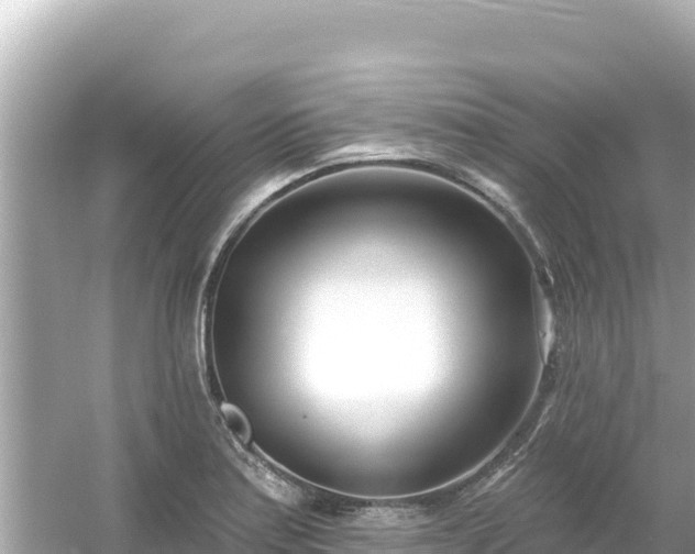 X0000054441179200508051851