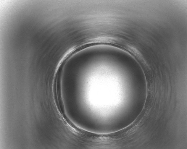 X0000054441180200508051851