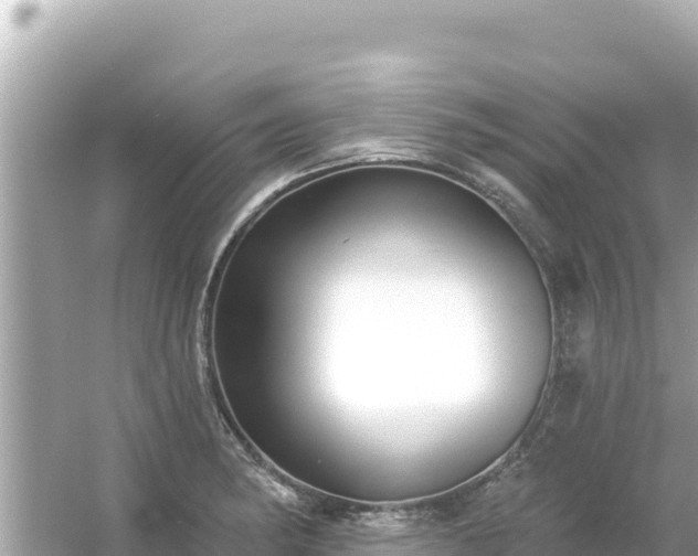 X0000054441182200508051851