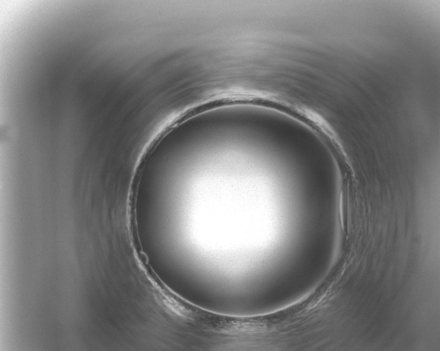 X0000054441183200508051851