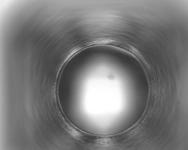 X0000054441186200508051851