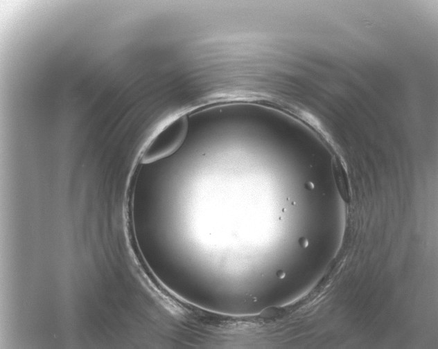 X0000054441187200508051851