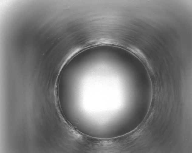 X0000054441190200508051851