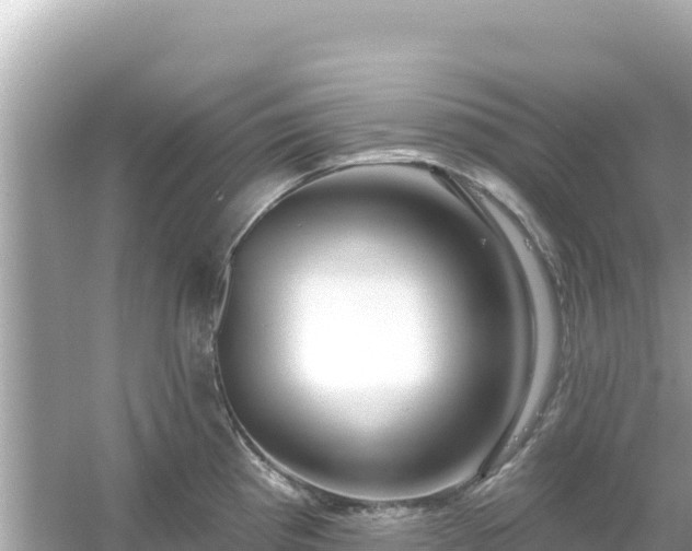 X0000054441193200508051851