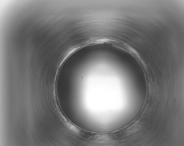 X0000054441194200508051851