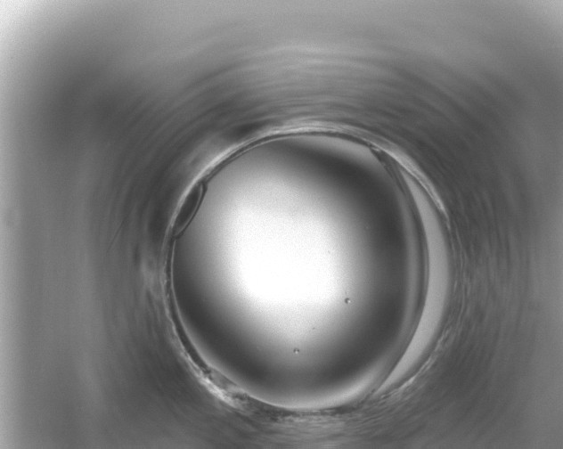 X0000054441197200508051850