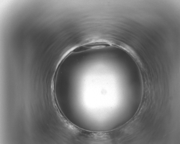 X0000054441198200508051850