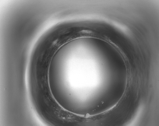 X0000054441199200508051850