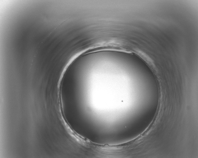 X0000054441200200508051850