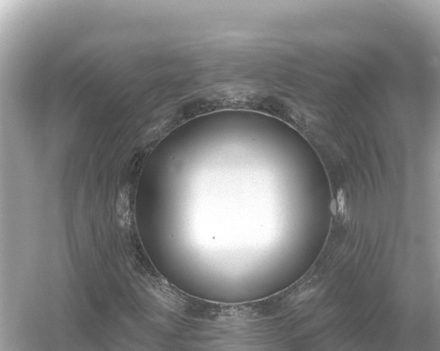 X0000054441203200508051850