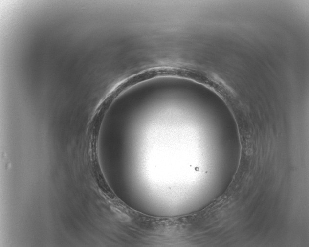 X0000054441208200508051850