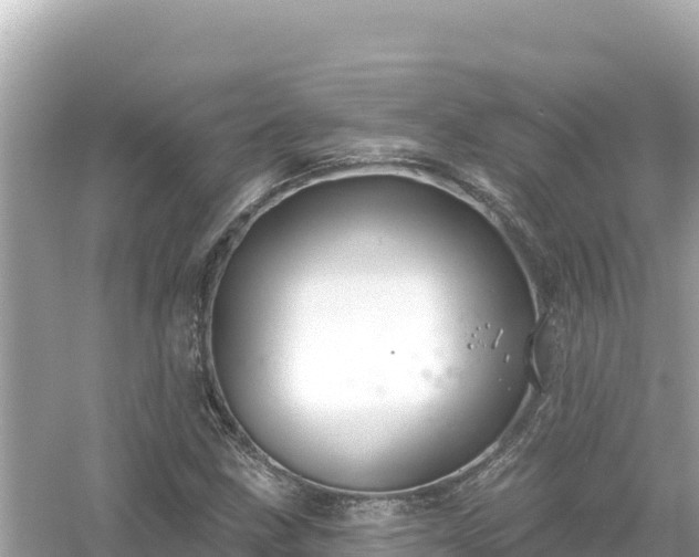 X0000054441211200508051850