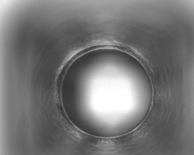 X0000054441215200508051850