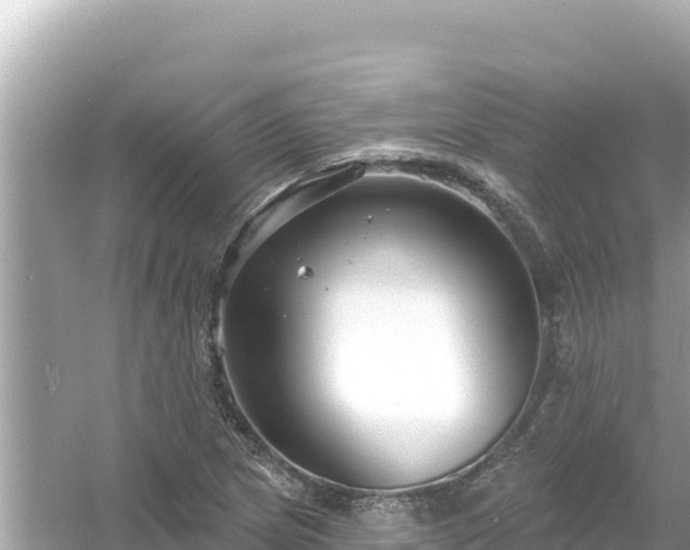 X0000054441217200508051850