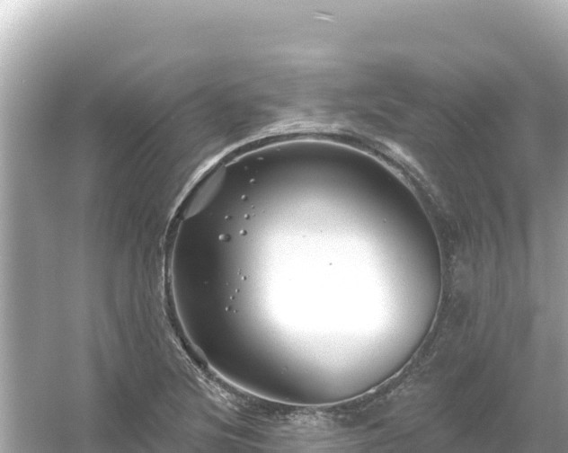 X0000054441220200508051850