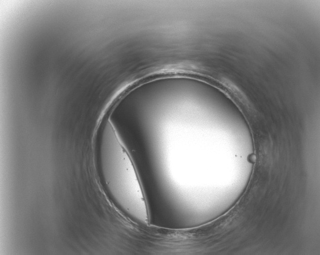 X0000054441224200508051850