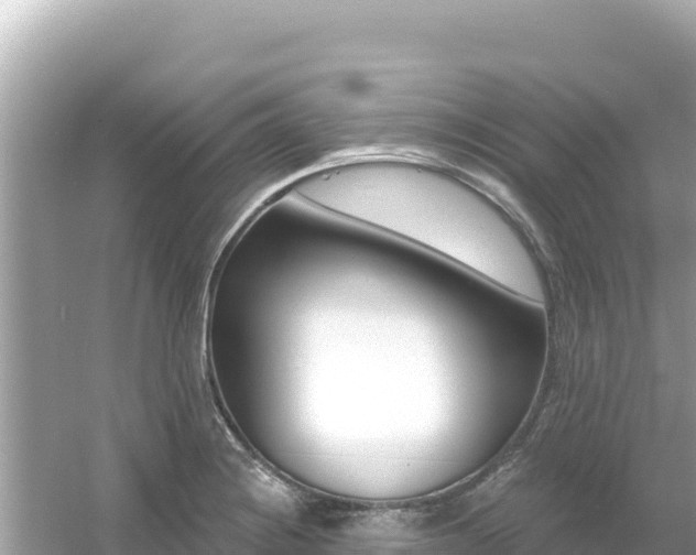 X0000054441228200508051850