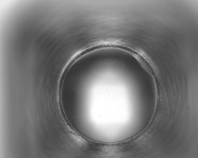 X0000054441232200508051850