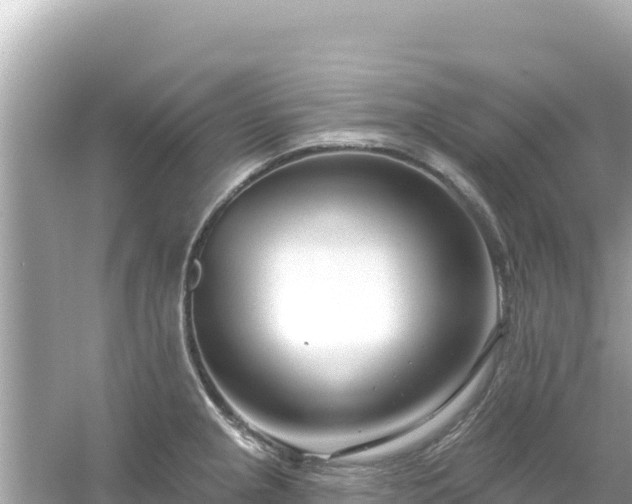 X0000054441237200508051850