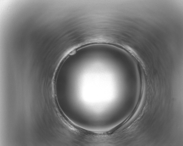 X0000054441238200508051850