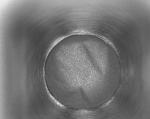 X0000054441239200508051850