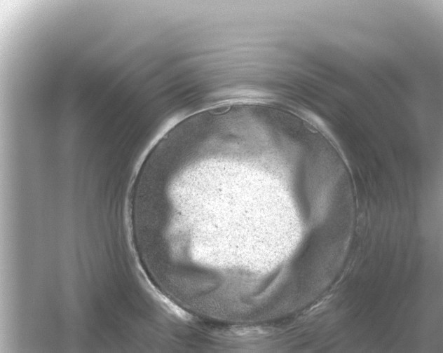 X0000054441243200508051850