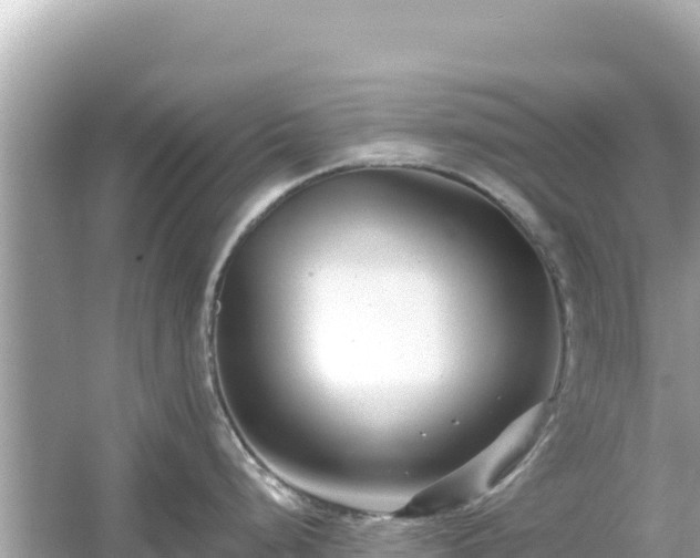 X0000054441248200508051850