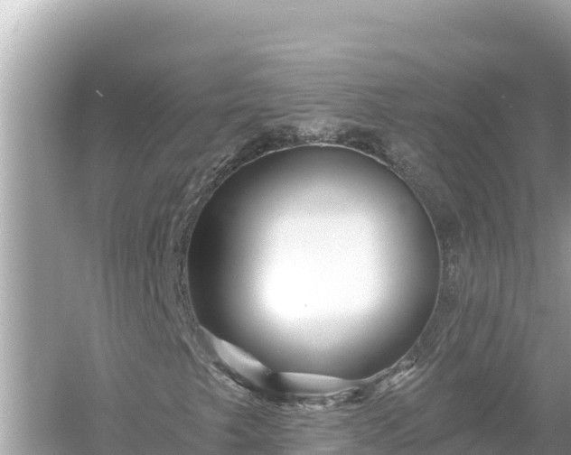 X0000054441249200508051850