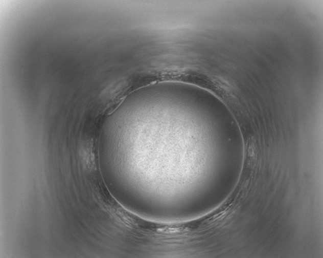 X0000054441252200508051850