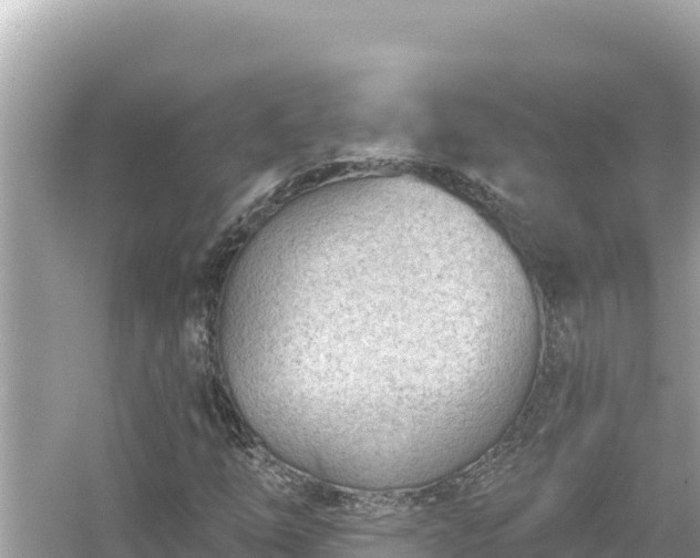 X0000054441254200508051850