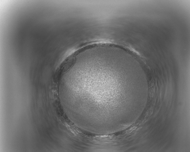 X0000054441255200508051849