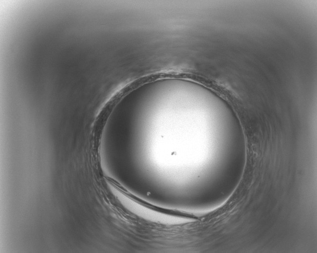 X0000054441256200508051849