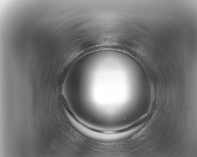 X0000054441257200508051849