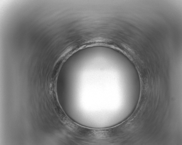 X0000054441258200508051849