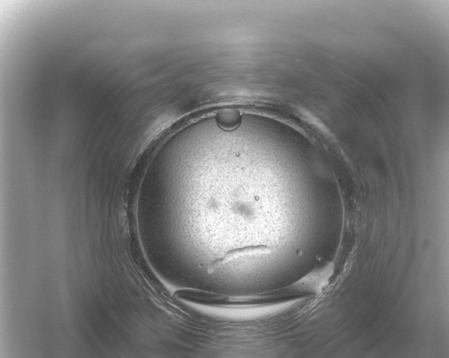 X0000054441259200508051849