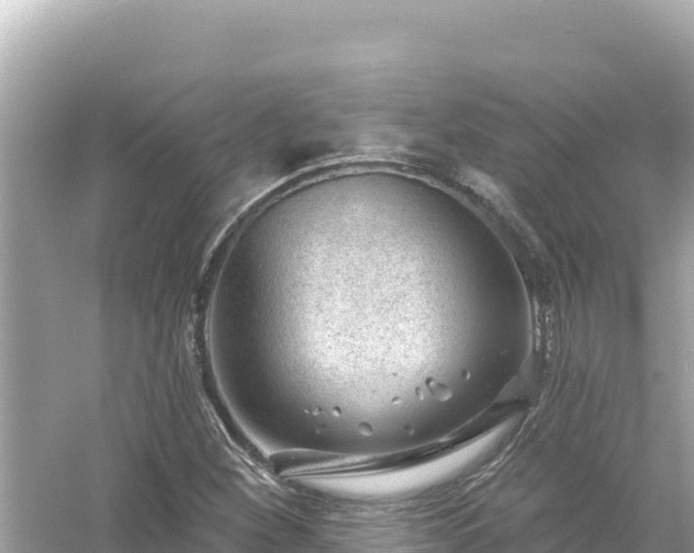 X0000054441260200508051849