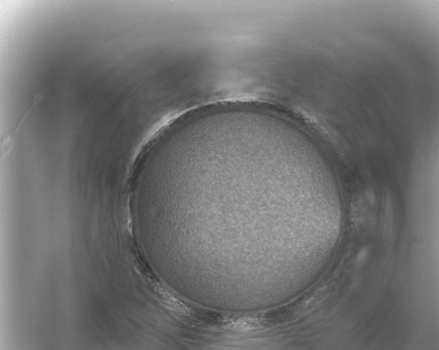 X0000054441262200508051849