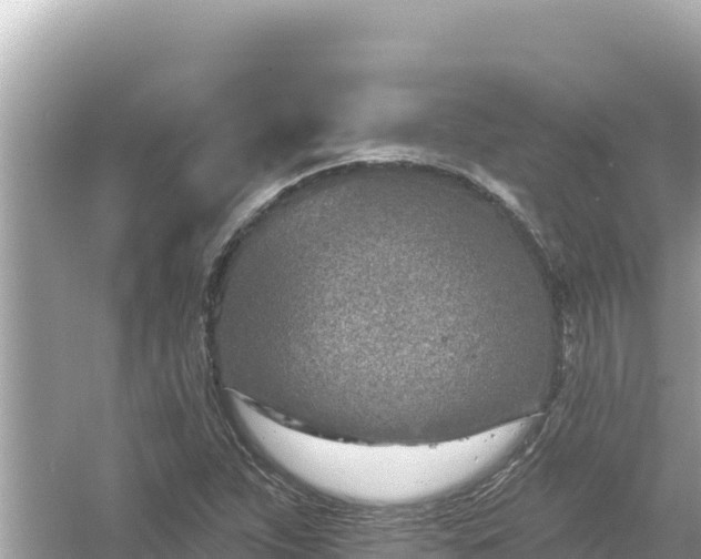 X0000054441263200508051849