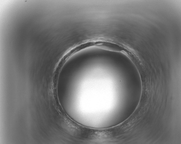 X0000054441264200508051849