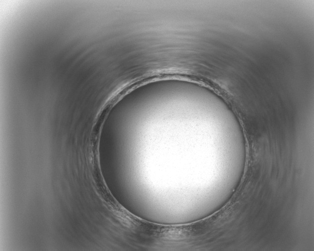 X0000054441266200508051849