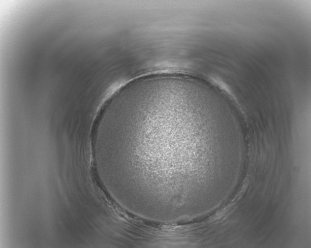 X0000054441267200508051849