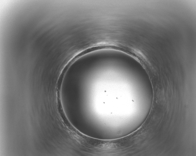 X0000054441268200508051849