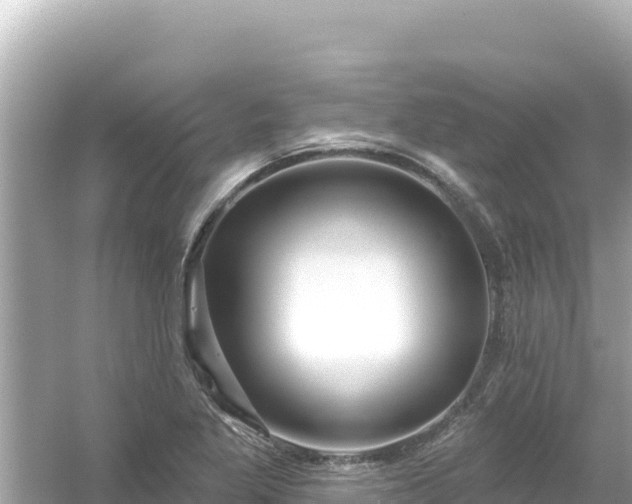 X0000054441269200508051849